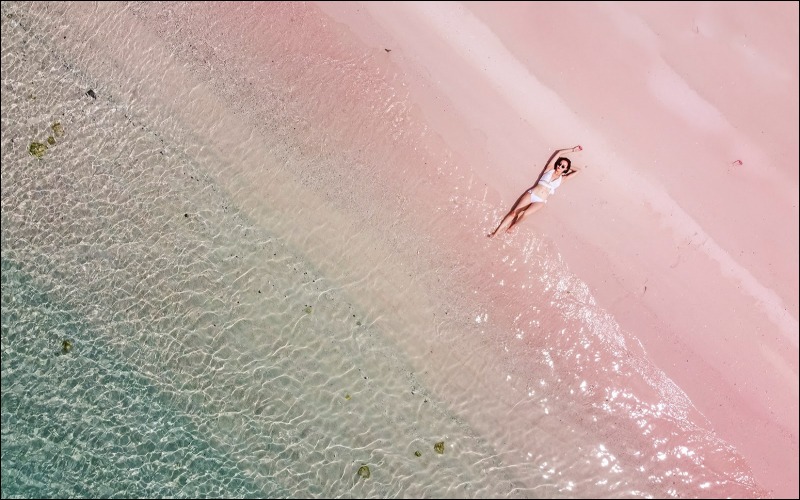 Exuma Bahamas Swim With Pigs: A Practical Guide to a One-of-a-Kind Encounter Exuma Bahamas Swim With Pigs: A Practical Guide to a One-of-a-Kind Encounter