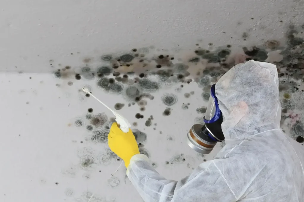 A practical guide to water damage restoration in New York and Long Island A practical guide to water damage restoration in New York and Long Island