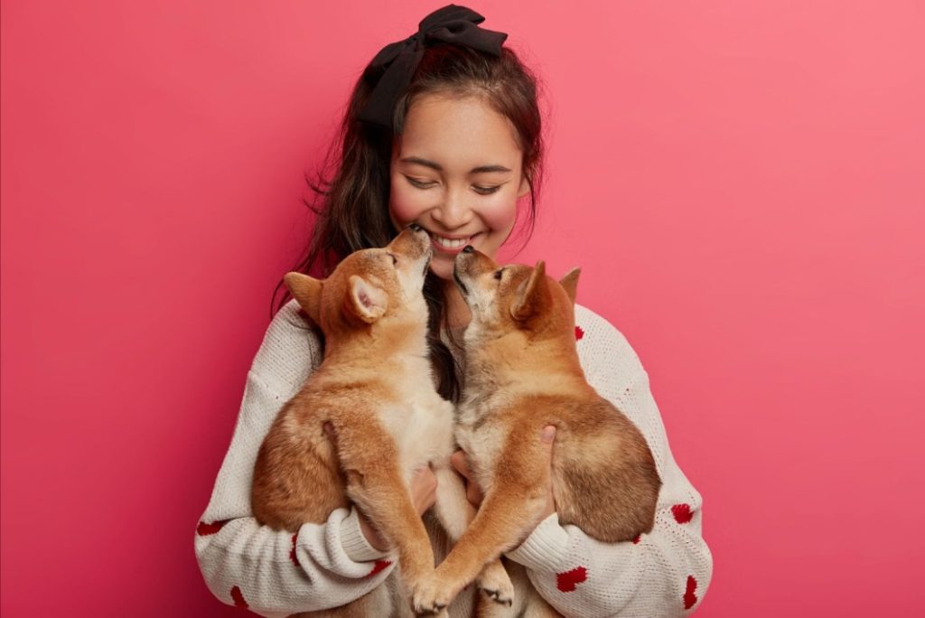 Findings from the playdate app for dogs that actually clicks with pups