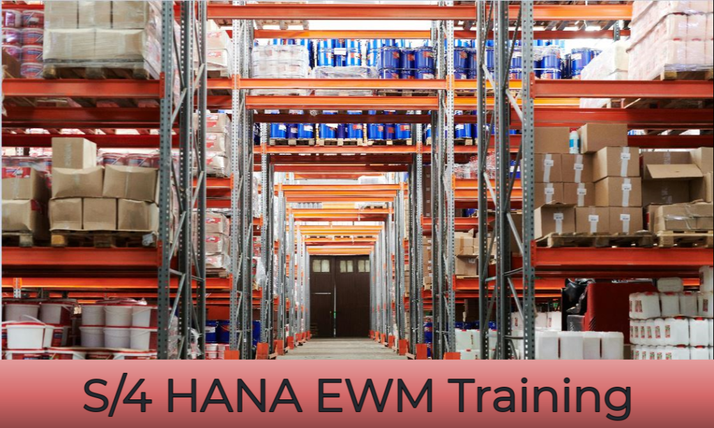 Unlock SAP S4 Hana Training: Practical Pathways for MM and FI