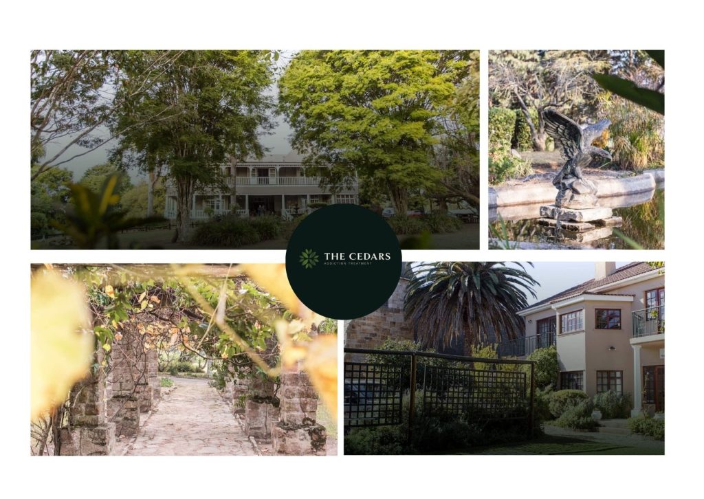 Choosing Trusted Rehab Care in Cape Town for Recovery